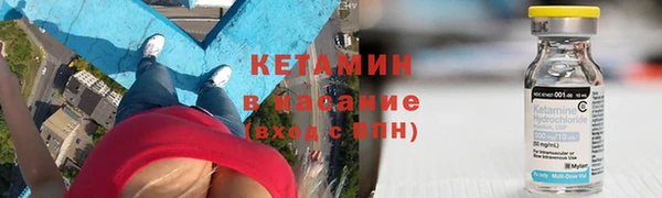 прущие грибы Осинники