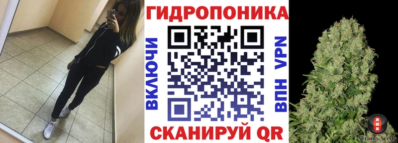 магазин продажи   Суджа  Марихуана ГИДРОПОН 